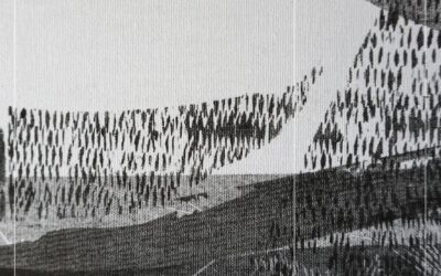 “Pléyade”, nueva exposición colectiva en Galería La Mercería de Valencia