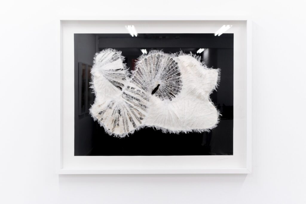 Francesca Poza- Como segunda piel